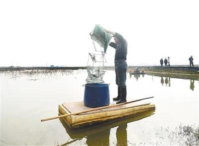 星空体育登录:花蛤和蛤蜊的差异是什么